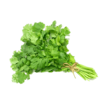 Culantro atado - Producción Responsable