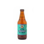 KEFIR DE AGUA PIÑA MENTA 330 ML - DR. MISHA