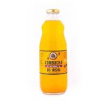 Kombucha Kion Espirulina 1lt - Dr Misha