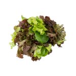Lechuga Mix - Producción Responsable