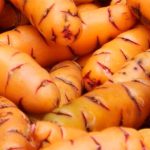 Oca kg -  Producción Responsable