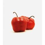 Rocoto x kg - Producción Responsable