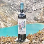 Vino de Arándanos (Semi seco) 750ml - Morandina